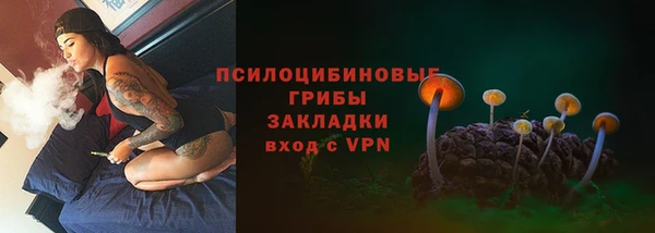 а пвп мука Богородицк