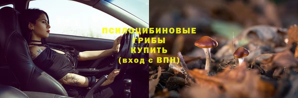 спайс Чердынь